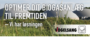 Vogelsang