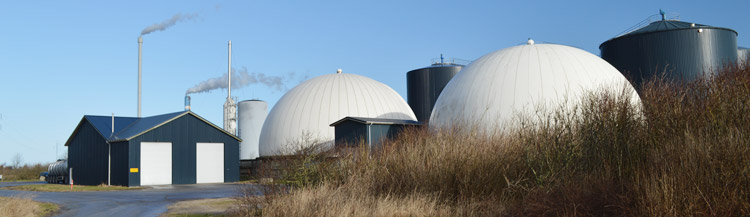 biogas potentiale