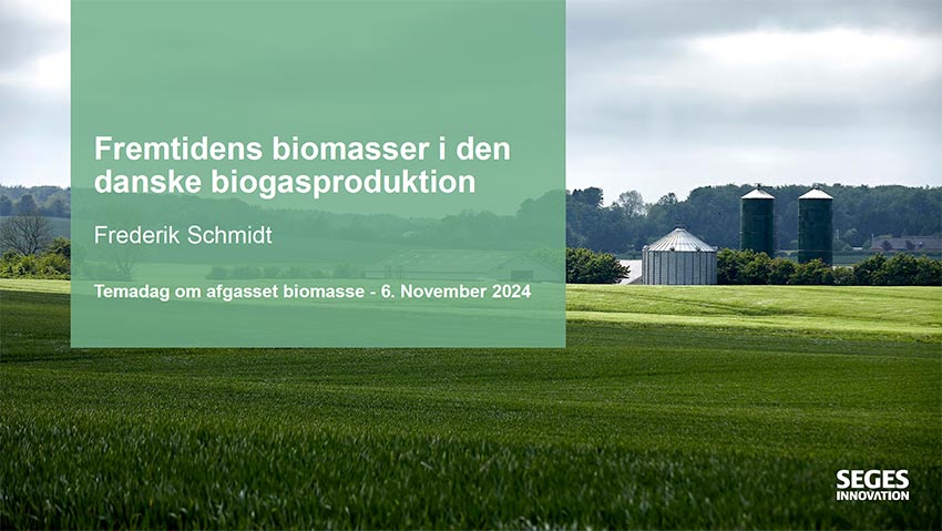 fremtidens biomasser i den danske biogasproduktion