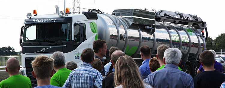 holsted biogas 113